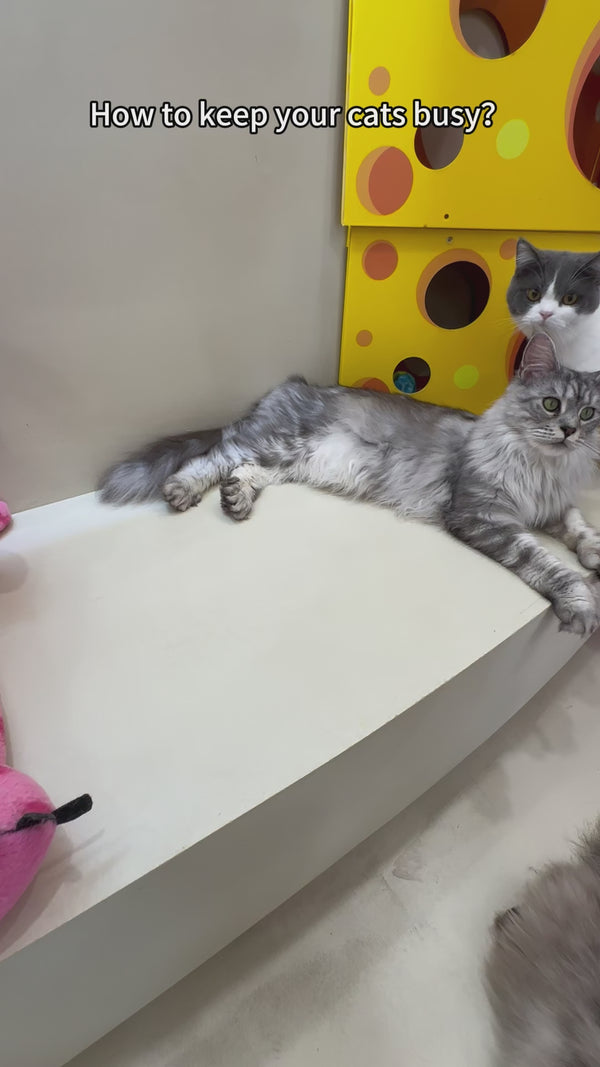 Automatic Cat Hunting Game Machine