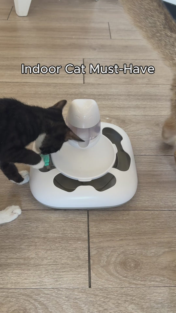 Automatic Cat Hunting Game Machine