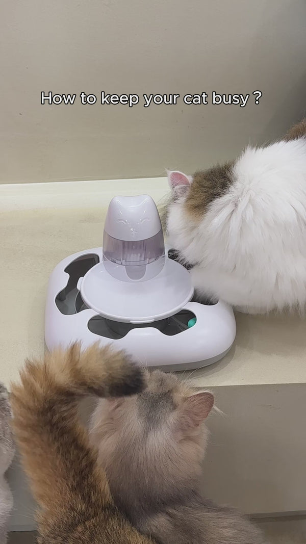 Automatic Cat Hunting Game Machine